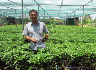 Bảo Lộc: Khởi nghiệp với cây cà phê đầu dòng