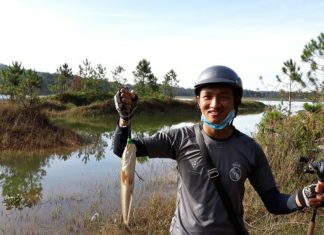 Cần thủ Đà Lạt hé lộ tuyệt chiêu câu cá lóc hoang kiểu gì cũng “lên hàng”