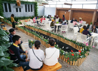 Quán cà phê cho khách ngồi trong nhà kính trồng rau ở Đà Lạt