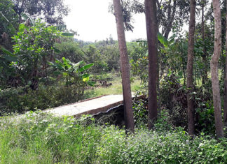 Lâm Đồng: Nhân viên tư pháp nhiều lần giao cấu với bé gái 14 tuổi