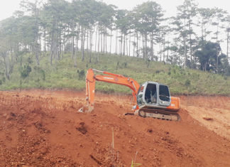 Lâm Đồng: Hơn 1.100ha rừng “biến mất” sau khi giao đất cho doanh nghiệp