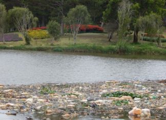 Đà Lạt: Hồ Than Thở đang… “tắc thở”
