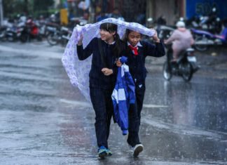 Mưa Thu lướt nhẹ qua miền thông reo