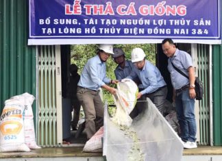 Thả 16 vạn con cá giống xuống hồ thủy điện Đồng Nai