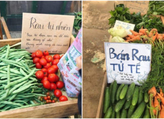 Đà Lạt: Bán rau sạch tự nhiên, người mua rau tự bỏ tiền vào thùng!