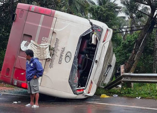 Lâm Đồng: Lật xe khách Thành Bưởi do cây đổ, 31 hành khách hoảng loạn