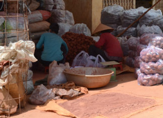 Mang đất Đà Lạt đến các tỉnh để trộn nông sản Trung Quốc