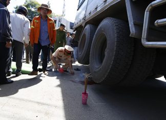 Đà Lạt: Xe đạp va chạm với xe tải làm một người tử vong