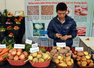 Lâm Đồng: Công bố 17 cơ sở kinh doanh nông sản Trung Quốc