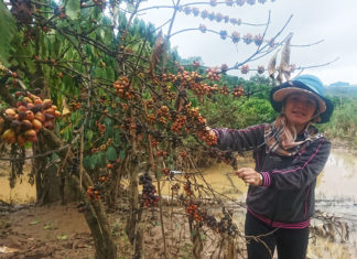 Lâm Đồng: Thủy điện ngừng thi công, dân lại khốn đốn