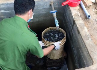 Đức Trọng: Phạt 134 triệu đồng do khai thác vàng trái phép