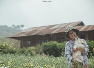 Rời bỏ phố thị, cô gái Sài Gòn lên Đà Lạt cùng bạn trai xây dựng khu vườn giữa núi rừng hoang vu dành cho thú cưng