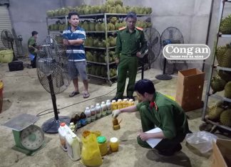 Bảo Lâm: Sầu riêng “tắm” hóa chất