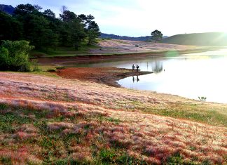 Mùa hội cỏ hồng lần 2 được tổ chức vào dịp cuối năm 2018