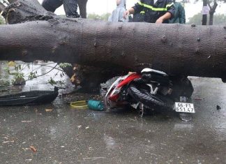 Sài Gòn mưa ngập nhiều nơi, cây đổ đè chết người