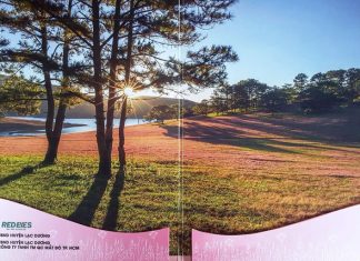 Ban tổ chức Mùa hội cỏ hồng Langbiang bị “tố” sử dụng hình ảnh trái phép