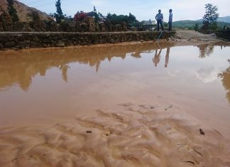 Bảo Lộc: Xẻ đất lâm nghiệp khai thác cát ở Ðại Lào