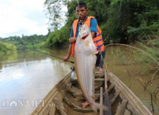 Lâm Đồng: Ly kỳ hành trình ngược sông Đồng Nai hồi hộp săn cá trèn mỏng dính