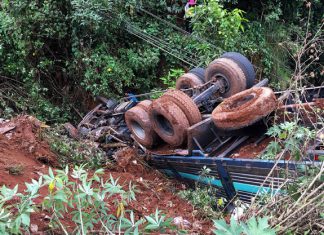 Di Linh: Xe tải chở cà phê lao xuống vực sâu, người dân đập cửa cứu người mắc kẹt trong cabin