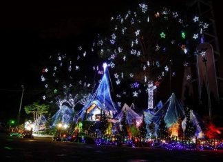 Phố núi Đà Lạt không khí giáng sinh ấm áp khắp nơi