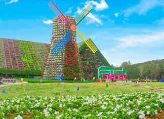 Đẹp ngây ngất đồi hoa Fresh Garden – “2019 Sắc màu tình yêu” vừa mới xuất hiện tại Đà Lạt