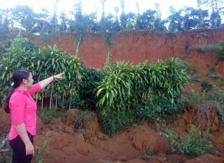 Bảo Lộc: Dân kêu cứu vì dự án gây sạt lở đất, cây trồng