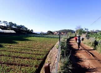 Ðà Lạt: Nhiều dự án khu dân cư, tái định cư chậm tiến độ