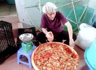 Kim chi Ðà Lạt cho mùa tết