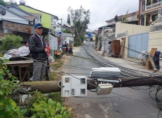 Đà Lạt: Ô tô tải kéo gãy cột điện hạ thế, khu vực đường Trạng Trình mất điện nhiều giờ