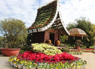 Trăm hoa đua nở tại Hội hoa Xuân xuyên tết ở Đà Lạt