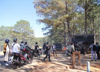 Lâm Đồng: Kiểm tra đơn vị chặn lối vào “Cây thông cô đơn” thu tiền