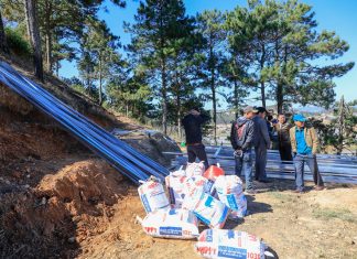 Đà Lạt: Phát hiện vụ san gạt, lấn chiếm đất lâm nghiệp trái phép