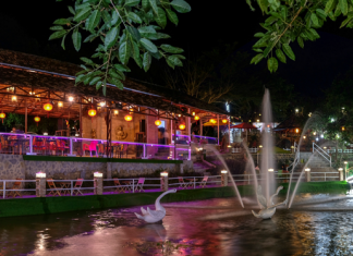 Bảo Lộc: Khám phá quán cà phê sinh thái Sala rộng hơn 1 hecta