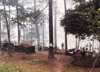 Đám cháy rừng được dập tắt, phương tiện lưu thông trở lại đèo Prenn