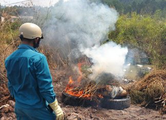 Lâm Đồng: Khủng khiếp, dân lại dùng cả xe tải đổ lợn chết xuống suối