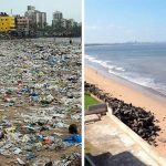 cung-ngam-30-man-thu-thach-don-rac-xuat-sac-nhat-tren-tap-chi-nuoc-n-20190312-103510