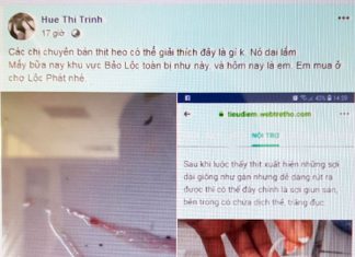 Đăng tin giả về thịt lợn nhiễm sán tại TP Bảo Lộc, chủ Facebook bị xử phạt 10 triệu đồng