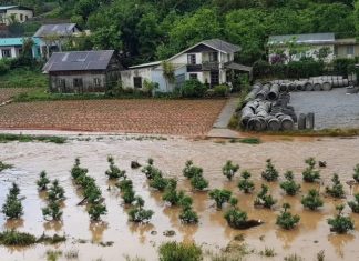Đà Lạt mưa dữ dội kèm mưa đá, nhiều nơi ngập nặng