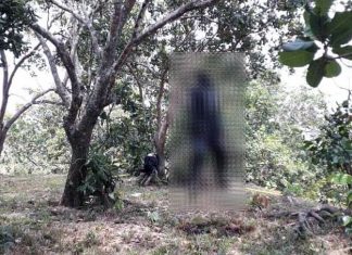 Lâm Đồng: Xác minh danh tính người đàn ông chết trong vườn điều