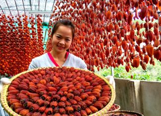 Truy xuất nguồn gốc đặc sản Đà Lạt bằng phần mềm quét mã vạch