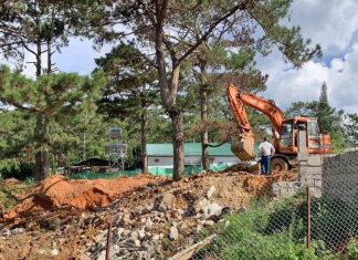 Giải toả nhiều công trình trái phép dưới tán rừng thông ở Đà Lạt