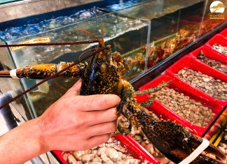 Đà Lạt: Khám phá đại tiệc hải sản tươi sống giữa lòng phố núi