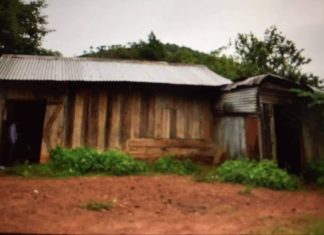 Di Linh: Chết bất thường trong chòi canh cà phê