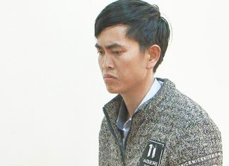 Lâm Đồng: Khởi tố một nhân viên BQL rừng biết phá rừng nhưng không báo