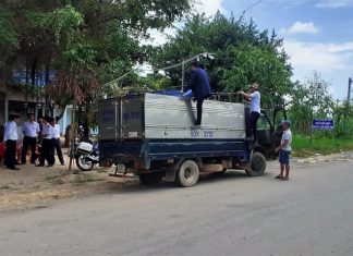 Bảo Lâm và Di Linh thành lập 4 chốt kiểm dịch phòng, chống dịch tả lợn châu Phi