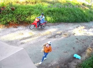 Đà Lạt: Đôi nam nữ lẻn vào quán cà phê bắt trộm chó con