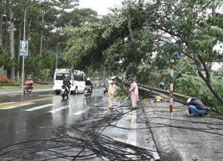 Đà Lạt: Xe khách tông vào dây diện võng xuống đường, 3 trụ điện bật gốc