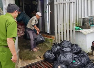 Đà Lạt: Phát hiện kho chứa 800kg thịt heo đã bốc mùi, rỉ nước