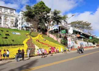 Festival hoa Đà Lạt năm 2019: Mỗi ngày một chủ đề hoa khác nhau