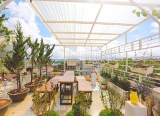Đà Lạt: Thời Gian House – homestay ngọt ngào, tràn ngập cây xanh và hoa lá